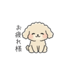 クレヨン画トイプー アプリコット(日常会話（個別スタンプ：7）