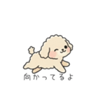 クレヨン画トイプー アプリコット(日常会話（個別スタンプ：9）