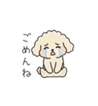 クレヨン画トイプー アプリコット(日常会話（個別スタンプ：10）