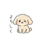 クレヨン画トイプー アプリコット(日常会話（個別スタンプ：11）