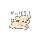 クレヨン画トイプー アプリコット(日常会話（個別スタンプ：12）