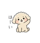 クレヨン画トイプー アプリコット(日常会話（個別スタンプ：13）