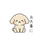 クレヨン画トイプー アプリコット(日常会話（個別スタンプ：15）