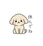 クレヨン画トイプー アプリコット(日常会話（個別スタンプ：16）