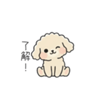 クレヨン画トイプー アプリコット(日常会話（個別スタンプ：17）