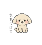 クレヨン画トイプー アプリコット(日常会話（個別スタンプ：18）