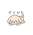 クレヨン画トイプー アプリコット(日常会話（個別スタンプ：23）