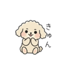 クレヨン画トイプー アプリコット(日常会話（個別スタンプ：26）