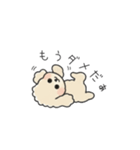 クレヨン画トイプー アプリコット(日常会話（個別スタンプ：28）