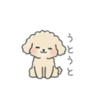 クレヨン画トイプー アプリコット(日常会話（個別スタンプ：29）