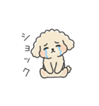 クレヨン画トイプー アプリコット(日常会話（個別スタンプ：30）