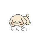 クレヨン画トイプー アプリコット(日常会話（個別スタンプ：33）