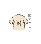 クレヨン画トイプー アプリコット(日常会話（個別スタンプ：34）