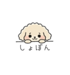 クレヨン画トイプー アプリコット(日常会話（個別スタンプ：35）