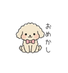 クレヨン画トイプー アプリコット(日常会話（個別スタンプ：37）