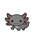 ウーパくん 育成2 ブラック（個別スタンプ：2）