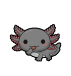 ウーパくん 育成2 ブラック（個別スタンプ：3）