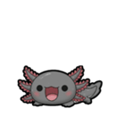 ウーパくん 育成2 ブラック（個別スタンプ：12）