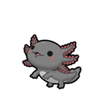 ウーパくん 育成2 ブラック（個別スタンプ：16）