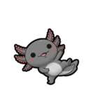 ウーパくん 育成2 ブラック（個別スタンプ：18）