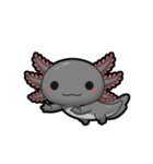 ウーパくん 育成2 ブラック（個別スタンプ：19）