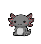 ウーパくん 育成2 ブラック（個別スタンプ：20）