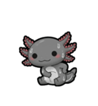 ウーパくん 育成2 ブラック（個別スタンプ：21）