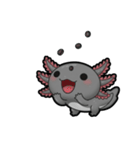 ウーパくん 育成2 ブラック（個別スタンプ：23）