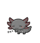 ウーパくん 育成2 ブラック（個別スタンプ：31）