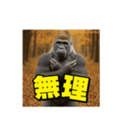 ゴリラ様！動く3(改訂版)（個別スタンプ：11）