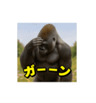 ゴリラ様！動く3(改訂版)（個別スタンプ：12）