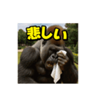 ゴリラ様！動く3(改訂版)（個別スタンプ：21）