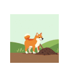 柴犬の新日常5（個別スタンプ：17）