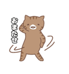 ねこねこの住み家7（個別スタンプ：1）