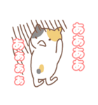 ねこねこの住み家7（個別スタンプ：5）