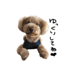 ぷーじーかわいいね（個別スタンプ：1）