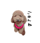 ぷーじーかわいいね（個別スタンプ：2）