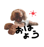 ぷーじーかわいいね（個別スタンプ：3）