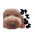 ぷーじーかわいいね（個別スタンプ：4）