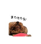 ぷーじーかわいいね（個別スタンプ：5）