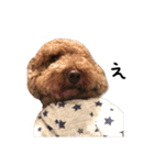 ぷーじーかわいいね（個別スタンプ：6）