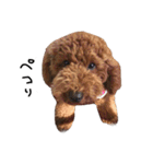 ぷーじーかわいいね（個別スタンプ：7）