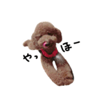 ぷーじーかわいいね（個別スタンプ：8）
