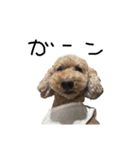 ぷーじーかわいいね（個別スタンプ：9）