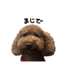 ぷーじーかわいいね（個別スタンプ：10）