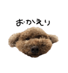 ぷーじーかわいいね（個別スタンプ：11）