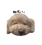 ぷーじーかわいいね（個別スタンプ：12）