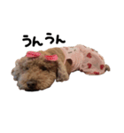 ぷーじーかわいいね（個別スタンプ：14）