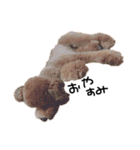 ぷーじーかわいいね（個別スタンプ：15）