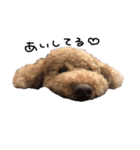 ぷーじーかわいいね（個別スタンプ：16）